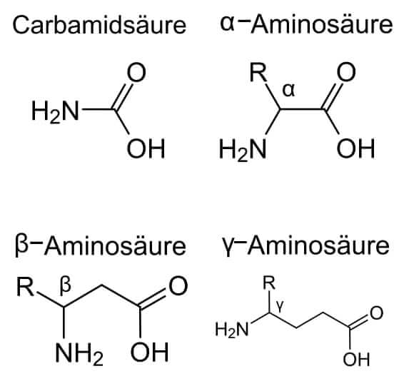 Aminosäuren