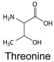 Threonin